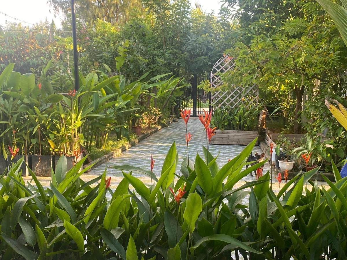 Laoxao Homestay Хой Ан Екстериор снимка